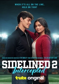 Плохой парень и я 2: Перехват (2025)