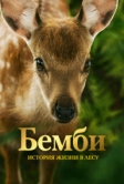 Бемби. История жизни в лесу (2024)