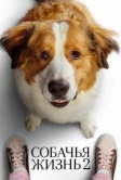 Собачья жизнь 2 (2019)
