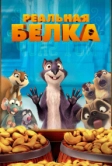 Реальная белка (2013)