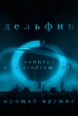 Дельфин. Концерт в VK Stadium 2023 / Прощай оружие (2023)
